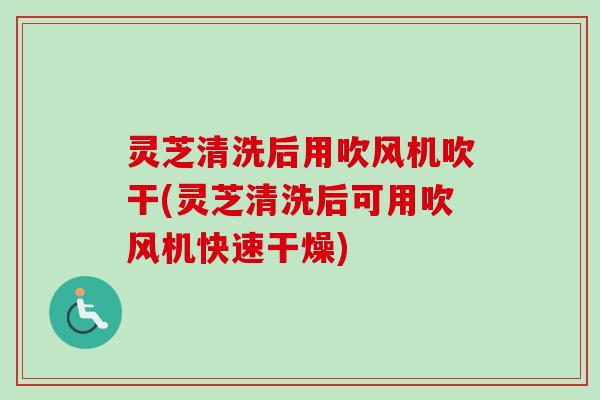 灵芝清洗后用吹风机吹干(灵芝清洗后可用吹风机快速干燥)