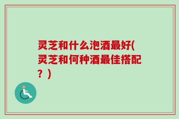 灵芝和什么泡酒最好(灵芝和何种酒最佳搭配？)