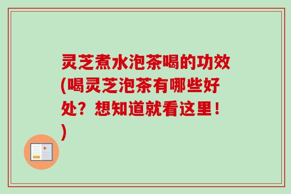 灵芝煮水泡茶喝的功效(喝灵芝泡茶有哪些好处?想知道就看这里!) 灵芝煮水泡茶喝的功效(喝灵芝泡茶有哪些好处?想知道就看这里!)