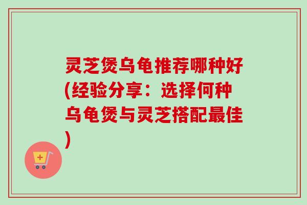 灵芝煲乌龟推荐哪种好(经验分享：选择何种乌龟煲与灵芝搭配最佳)