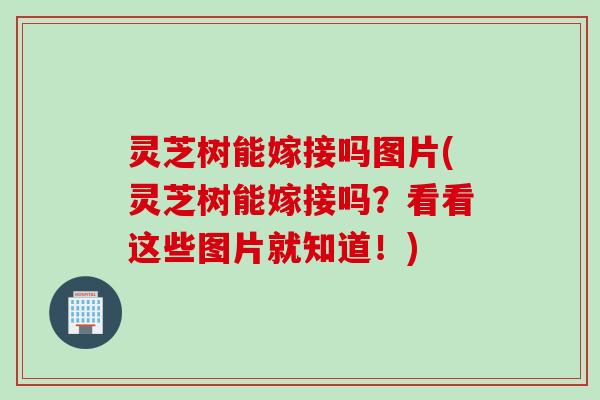 灵芝树能嫁接吗图片(灵芝树能嫁接吗？看看这些图片就知道！)