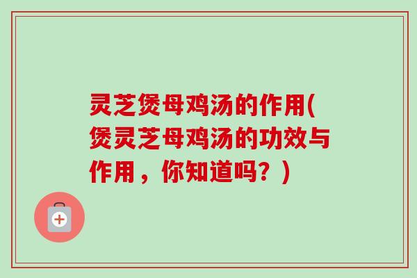 灵芝煲母鸡汤的作用(煲灵芝母鸡汤的功效与作用，你知道吗？)