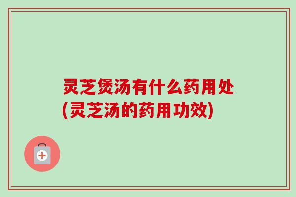 灵芝煲汤有什么药用处(灵芝汤的药用功效)