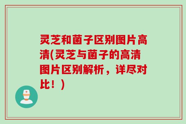 灵芝和菌子区别图片高清(灵芝与菌子的高清图片区别解析，详尽对比！)