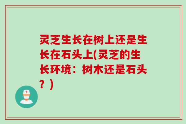 灵芝生长在树上还是生长在石头上(灵芝的生长环境：树木还是石头？)