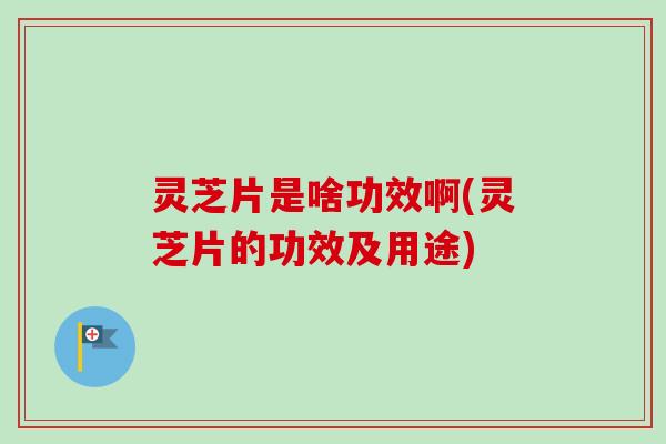 灵芝片是啥功效啊(灵芝片的功效及用途)