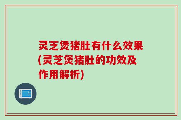 灵芝煲猪肚有什么效果(灵芝煲猪肚的功效及作用解析)