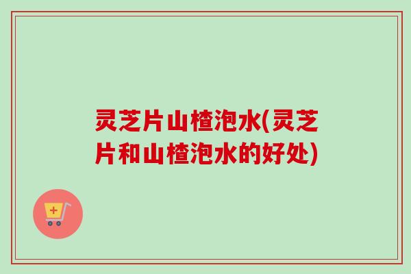 灵芝片山楂泡水(灵芝片和山楂泡水的好处)