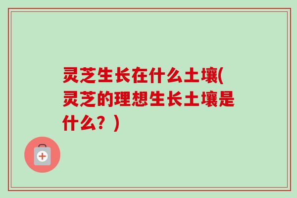 灵芝生长在什么土壤(灵芝的理想生长土壤是什么？)