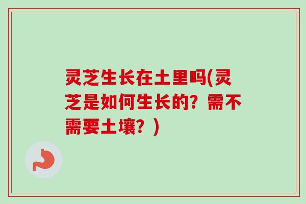 灵芝生长在土里吗(灵芝是如何生长的？需不需要土壤？)