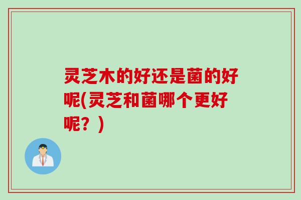 灵芝木的好还是菌的好呢(灵芝和菌哪个更好呢？)