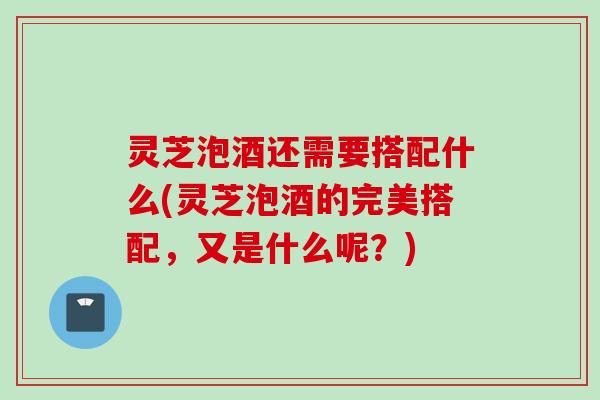 灵芝泡酒还需要搭配什么(灵芝泡酒的完美搭配，又是什么呢？)