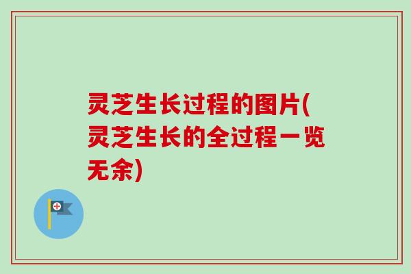 灵芝生长过程的图片(灵芝生长的全过程一览无余)