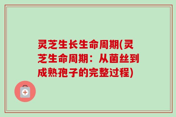灵芝生长生命周期(灵芝生命周期：从菌丝到成熟孢子的完整过程)