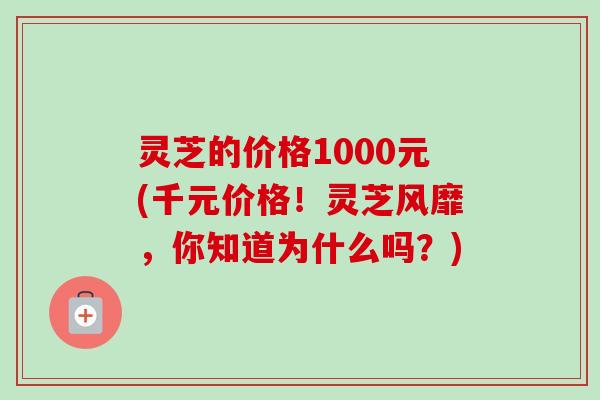 灵芝的价格1000元(千元价格！灵芝风靡，你知道为什么吗？)