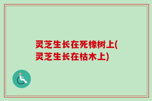 灵芝生长在死橡树上(灵芝生长在枯木上)