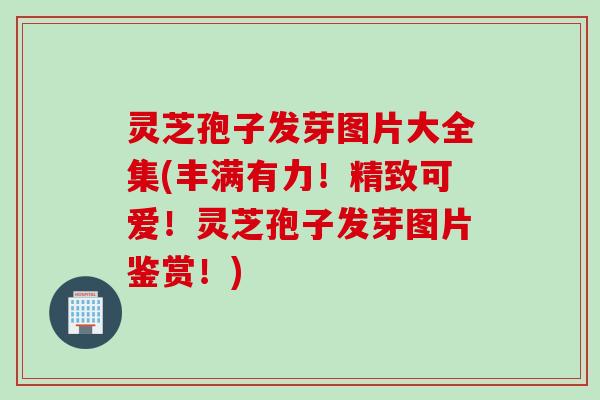 灵芝孢子发芽图片大全集(丰满有力！精致可爱！灵芝孢子发芽图片鉴赏！)