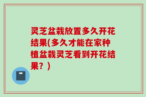 灵芝盆栽放置多久开花结果(多久才能在家种植盆栽灵芝看到开花结果？)