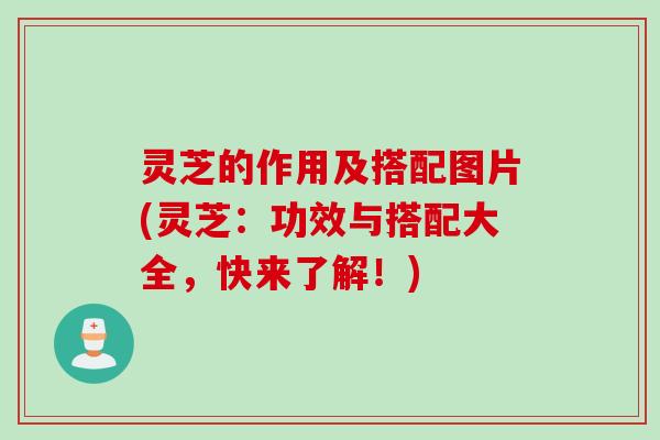 灵芝的作用及搭配图片(灵芝:功效与搭配大全,快来了解!) 灵芝的作用及搭配图片(灵芝:功效与搭配大全,快来了解!)