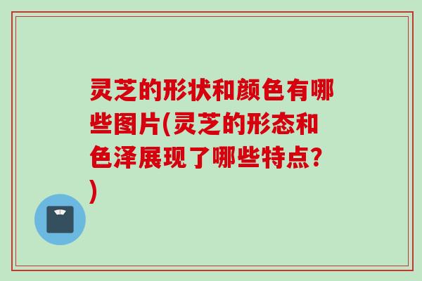 灵芝的形状和颜色有哪些图片(灵芝的形态和色泽展现了哪些特点？)