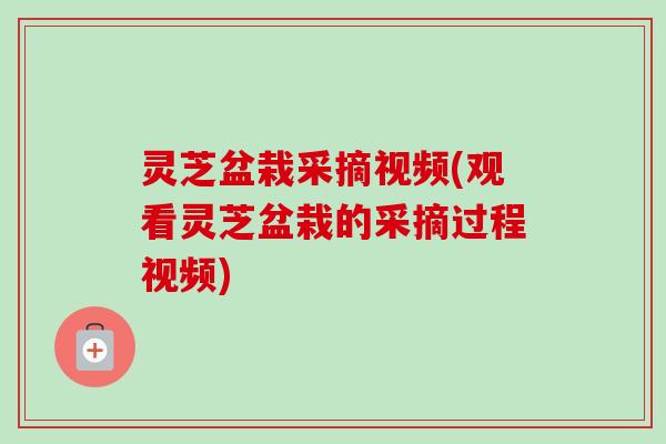 灵芝盆栽采摘视频(观看灵芝盆栽的采摘过程视频)