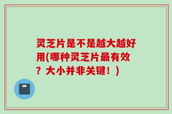 灵芝片是不是越大越好用(哪种灵芝片最有效？大小并非关键！)