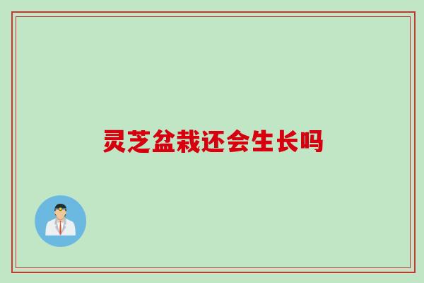 灵芝盆栽还会生长吗