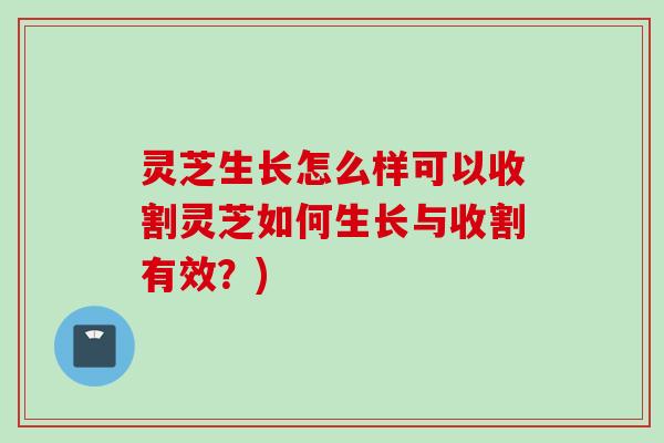 灵芝生长怎么样可以收割灵芝如何生长与收割有效?) 灵芝生长怎么样可以收割灵芝如何生长与收割有效?)