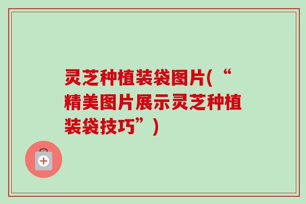 灵芝种植装袋图片(“精美图片展示灵芝种植装袋技巧”)