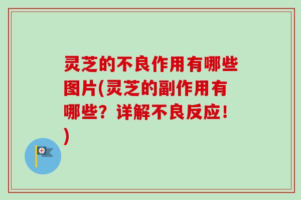 灵芝的不良作用有哪些图片(灵芝的副作用有哪些？详解不良反应！)