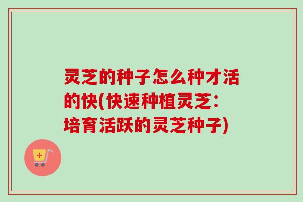 灵芝的种子怎么种才活的快(快速种植灵芝：培育活跃的灵芝种子)