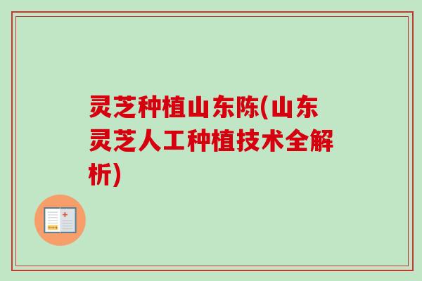 灵芝种植山东陈(山东灵芝人工种植技术全解析)