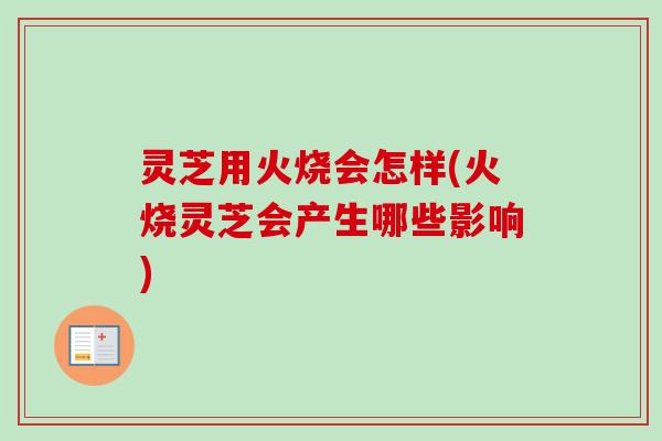 灵芝用火烧会怎样(火烧灵芝会产生哪些影响) 灵芝用火烧会怎样(火烧灵芝会产生哪些影响)