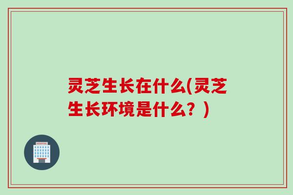 灵芝生长在什么(灵芝生长环境是什么？)