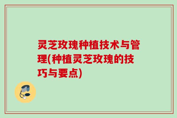 灵芝玫瑰种植技术与管理(种植灵芝玫瑰的技巧与要点)