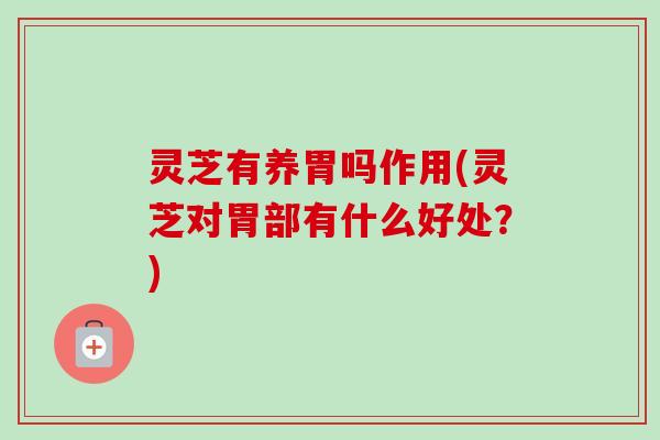 灵芝有养胃吗作用(灵芝对胃部有什么好处？)