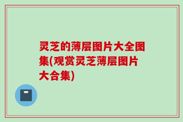 灵芝的薄层图片大全图集(观赏灵芝薄层图片大合集) 灵芝的薄层图片大全图集(观赏灵芝薄层图片大合集)