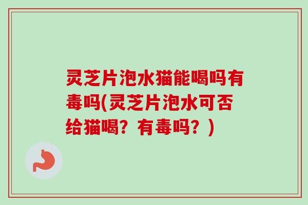 灵芝片泡水猫能喝吗有毒吗(灵芝片泡水可否给猫喝？有毒吗？)