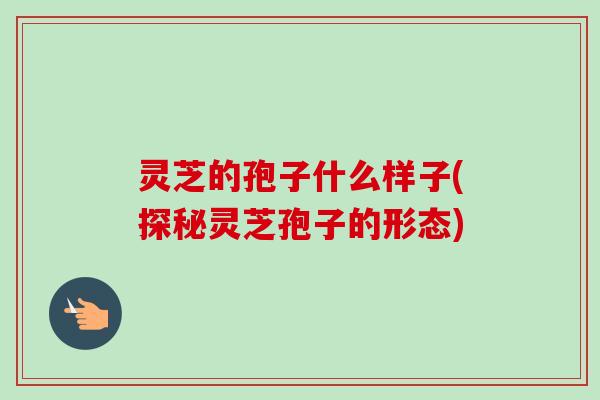 灵芝的孢子什么样子(探秘灵芝孢子的形态) 灵芝的孢子什么样子(探秘灵芝孢子的形态)