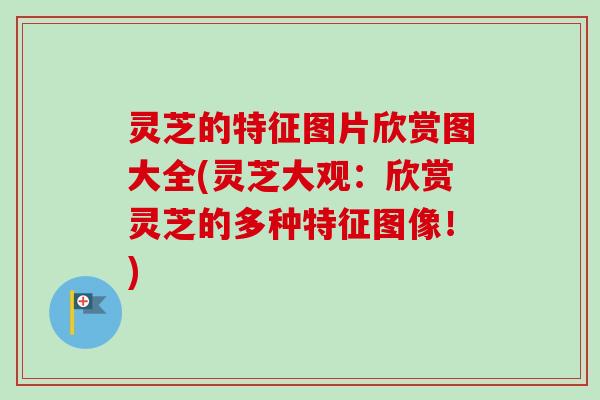 灵芝的特征图片欣赏图大全(灵芝大观：欣赏灵芝的多种特征图像！)