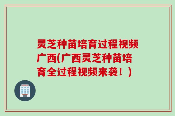 灵芝种苗培育过程视频广西(广西灵芝种苗培育全过程视频来袭！)