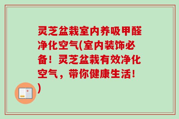 灵芝盆栽室内养吸甲醛净化空气(室内装饰必备！灵芝盆栽有效净化空气，带你健康生活！)