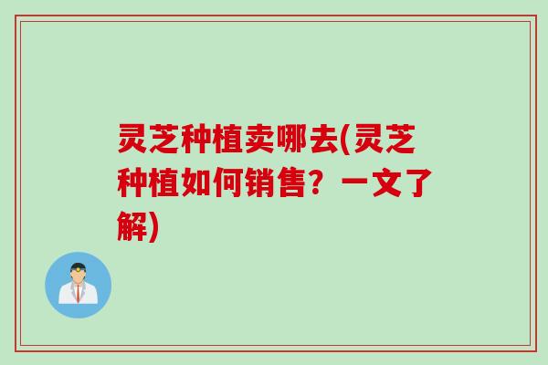 灵芝种植卖哪去(灵芝种植如何销售？一文了解)