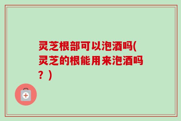 灵芝根部可以泡酒吗(灵芝的根能用来泡酒吗？)