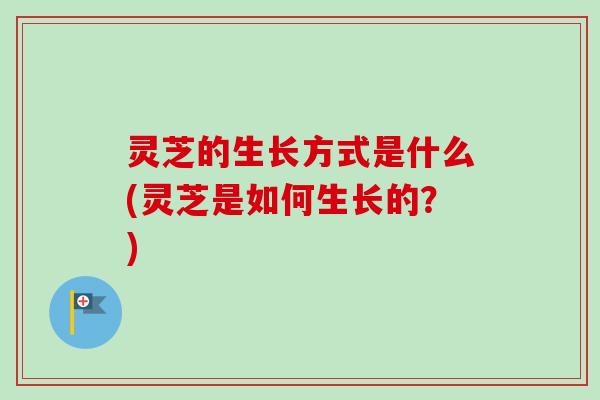 灵芝的生长方式是什么(灵芝是如何生长的？)