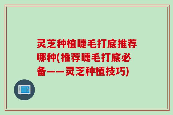 灵芝种植睫毛打底推荐哪种(推荐睫毛打底必备——灵芝种植技巧)