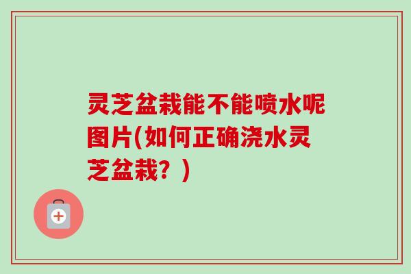 灵芝盆栽能不能喷水呢图片(如何正确浇水灵芝盆栽？)