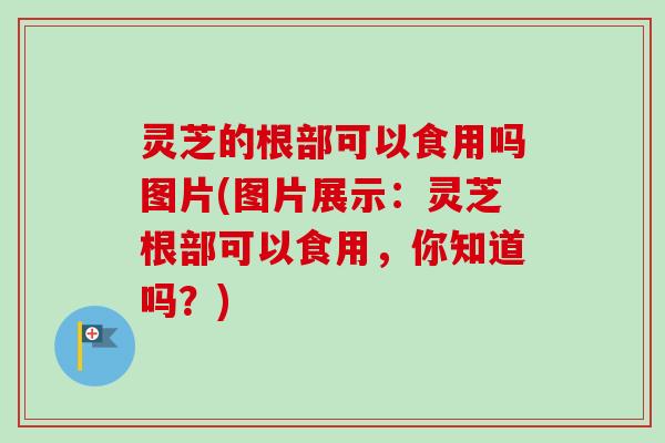 灵芝的根部可以食用吗图片(图片展示：灵芝根部可以食用，你知道吗？)