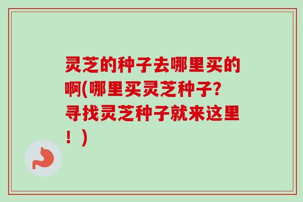 灵芝的种子去哪里买的啊(哪里买灵芝种子？寻找灵芝种子就来这里！)