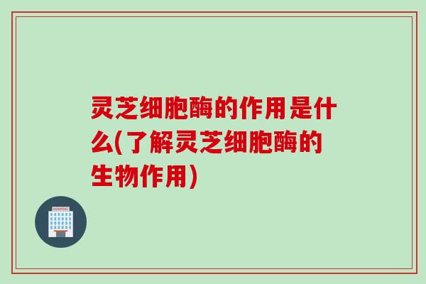 灵芝细胞酶的作用是什么(了解灵芝细胞酶的生物作用)